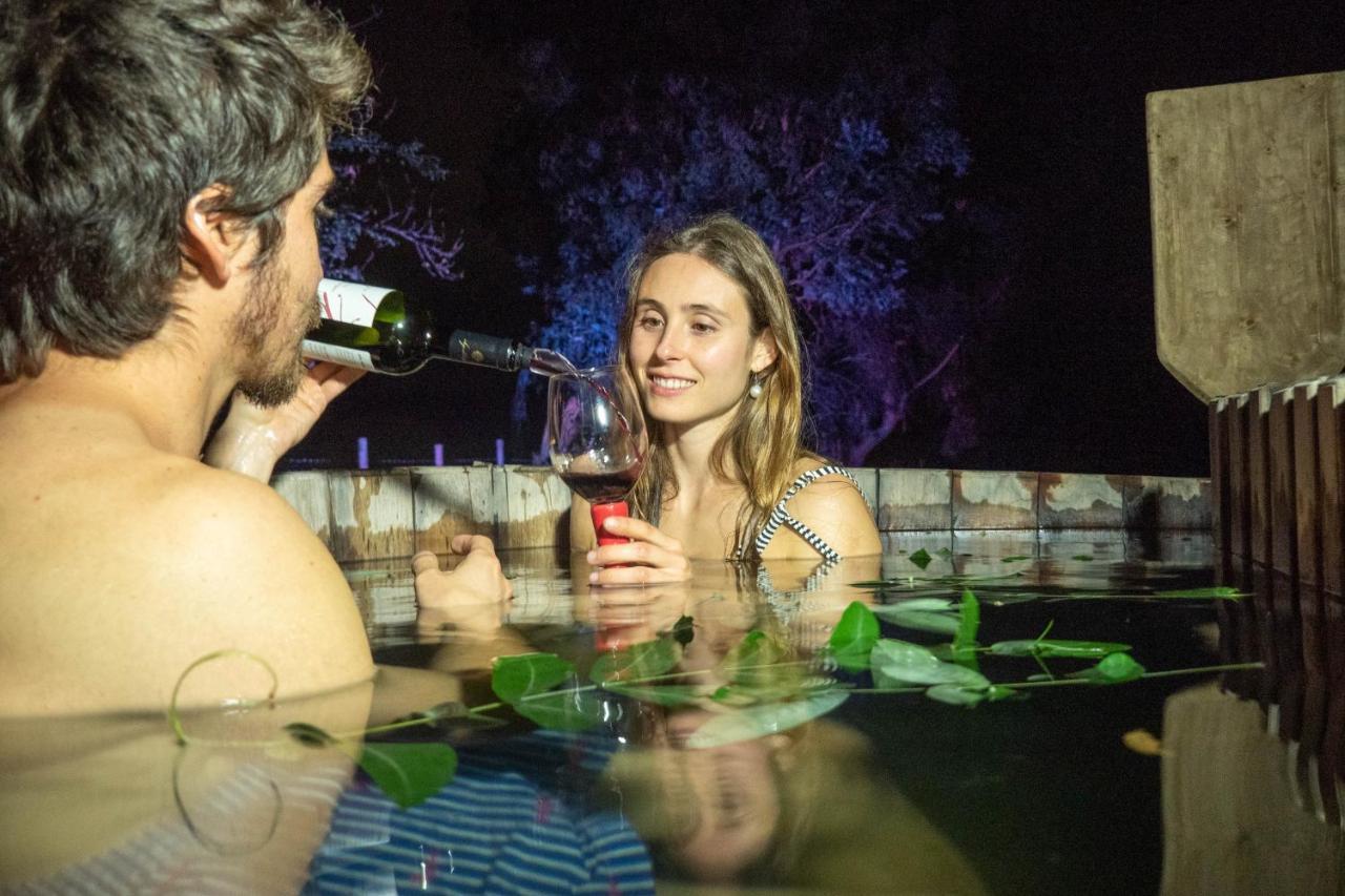 Hotel Boutique Raices De Colchagua Santa Cruz Eksteriør billede