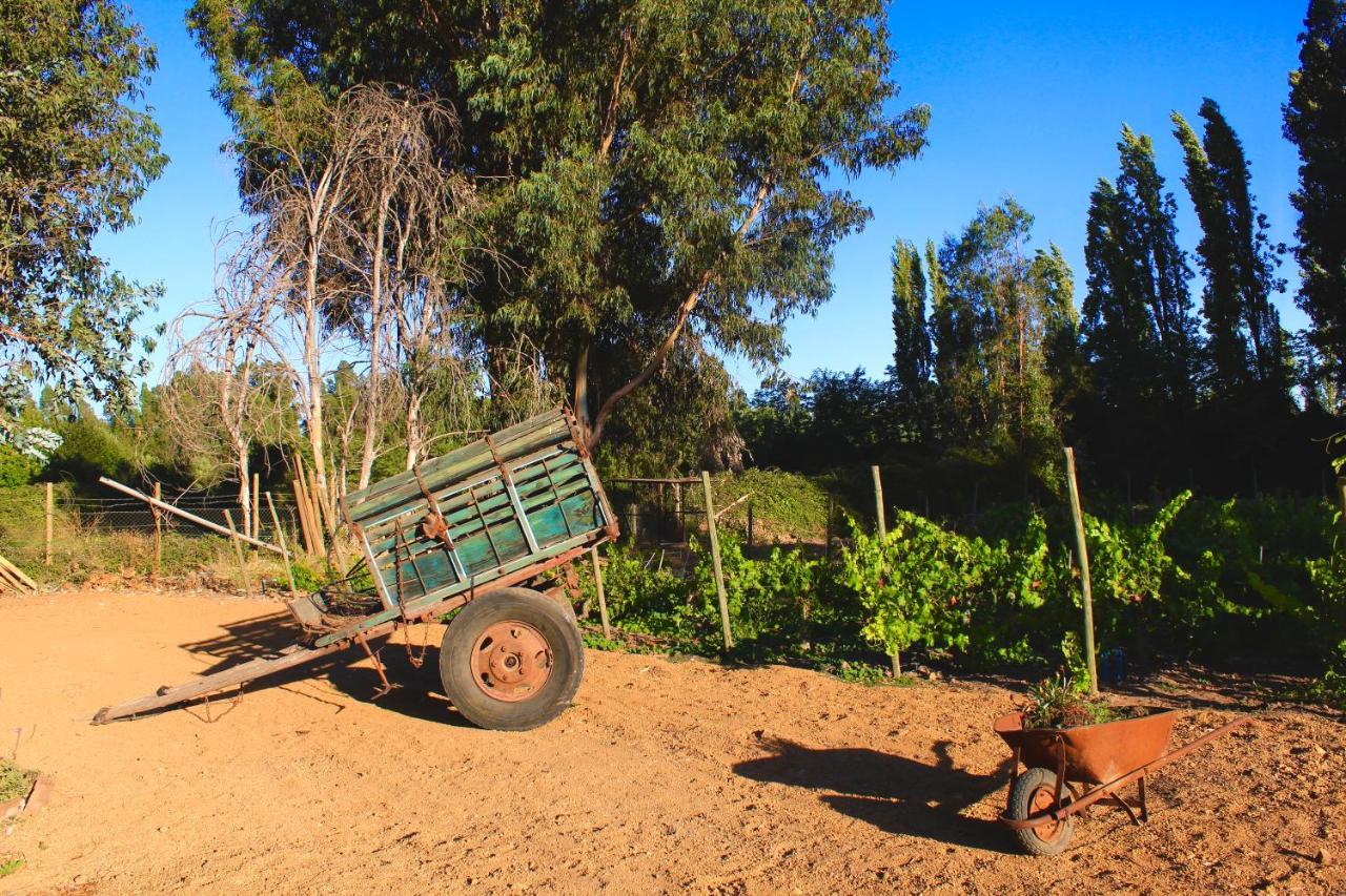 Hotel Boutique Raices De Colchagua Santa Cruz Eksteriør billede