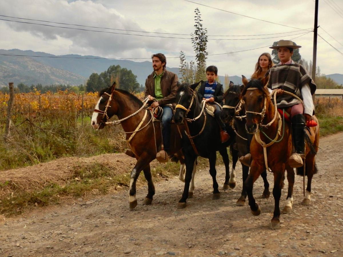 Hotel Boutique Raices De Colchagua Santa Cruz Eksteriør billede