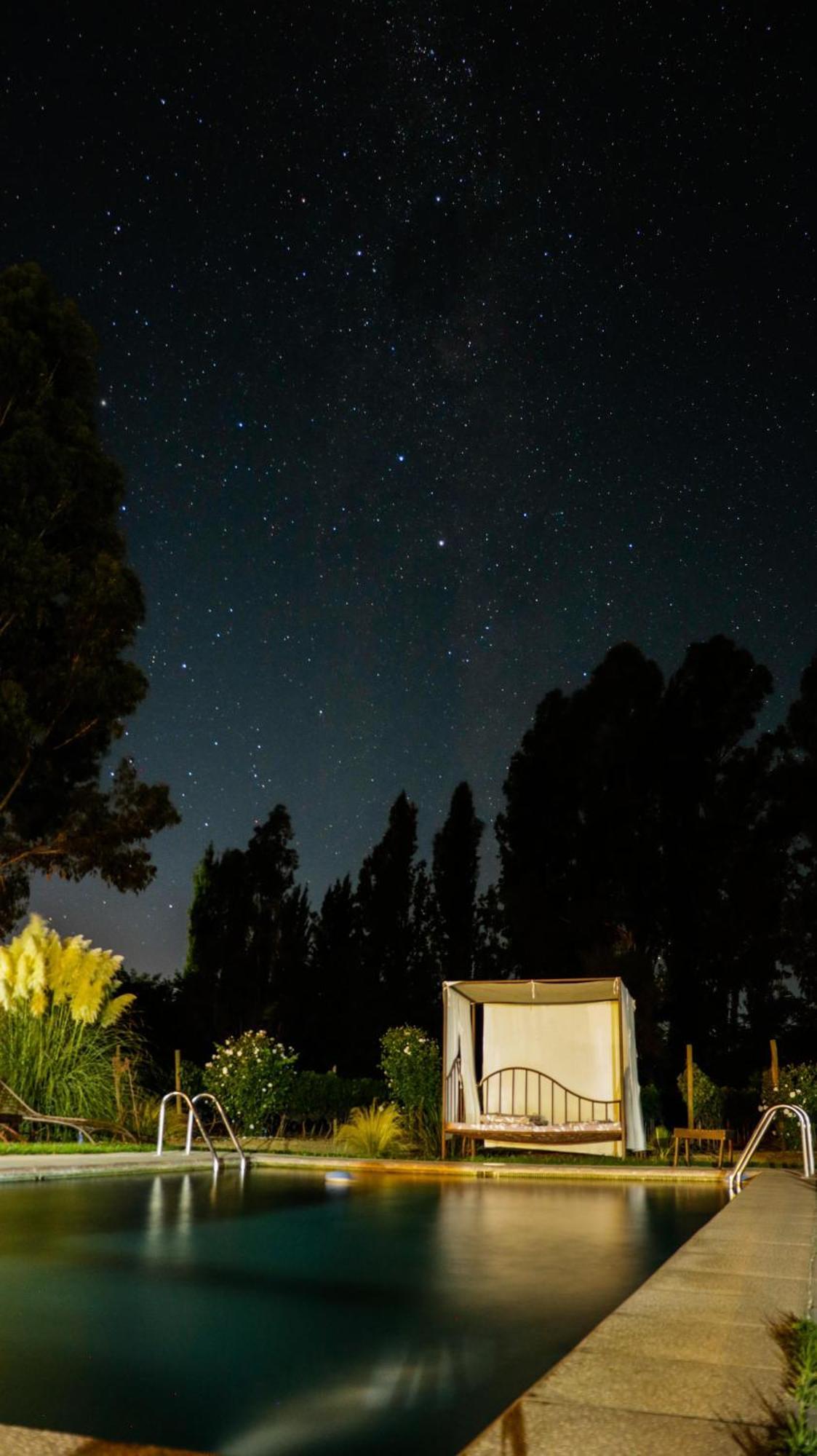 Hotel Boutique Raices De Colchagua Santa Cruz Eksteriør billede